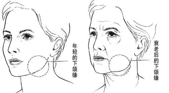 “差不多”的小切口，还可以差这么多! 图片-7
