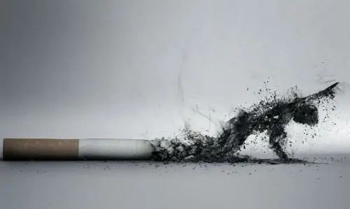 速答:做完种植牙后，还能吸烟吗? 图片-4