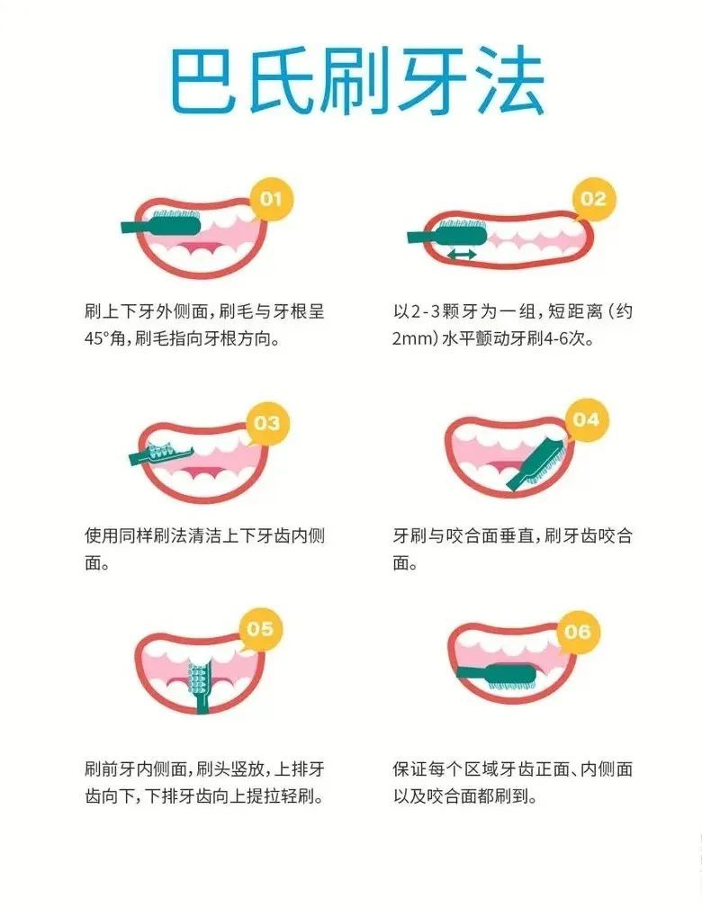 【护牙攻略】如何让您的孩子拥有一口好牙? 图片-5