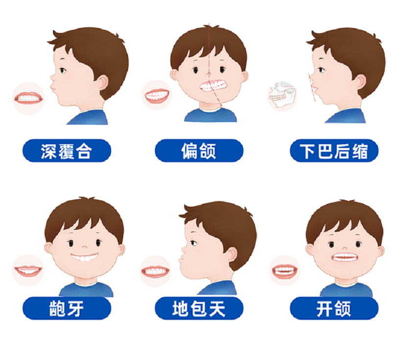 【护牙攻略】如何让您的孩子拥有一口好牙? 图片-10