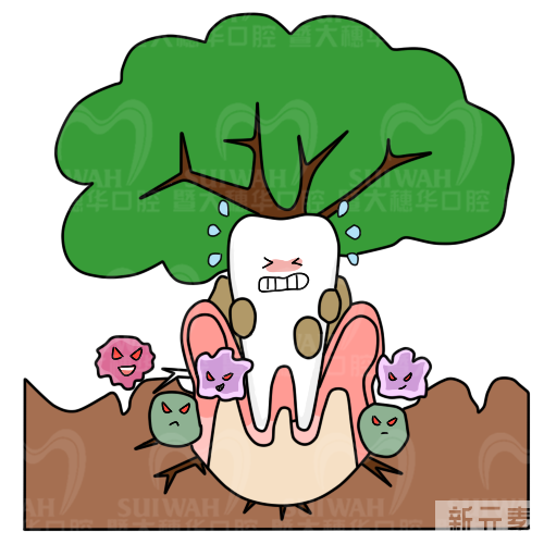 我和医生说我牙疼，他居然要抽掉我的神经! 图片-6