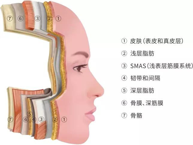 皮肤“松”和“垂”不是一回事!抗衰无效，是你思路不对! 图片-4