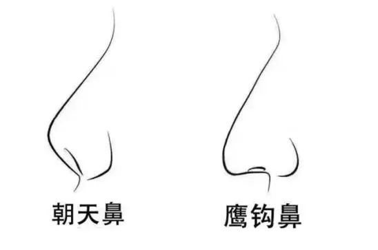 do鼻翻车的人，竟然80%都是因为这个部位... 图片-18