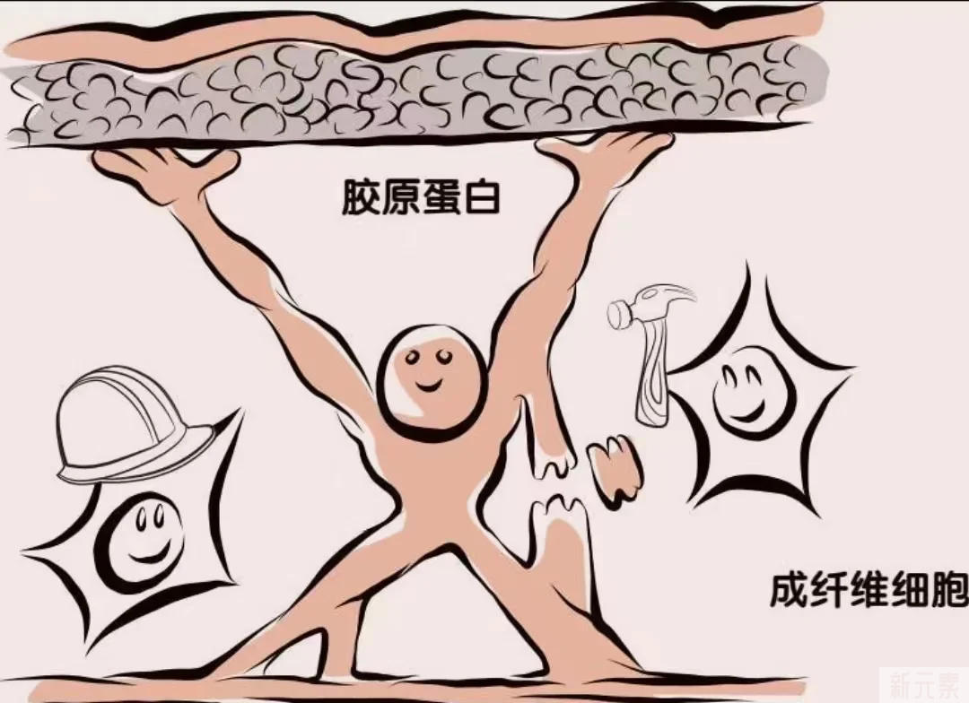 光子嫩肤操作时间短，是不是亏了? 图片-2