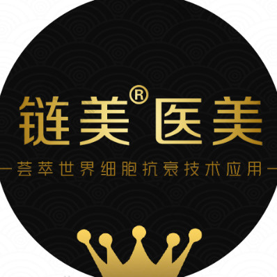 广州链美 logo