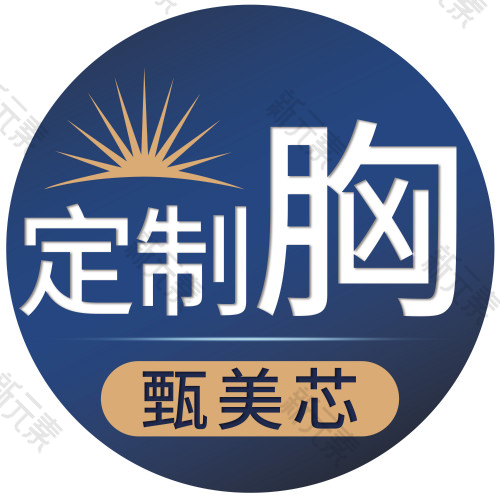 湖南甄美芯医美 logo